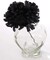100-Pack: Black Carnation Picks, 5" Long, 3.5" Wide by Floral Home®, Floral Home by Artificial Flowers
